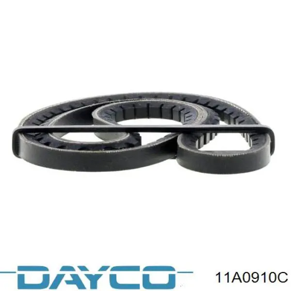 11A0910C Dayco Correa poly v