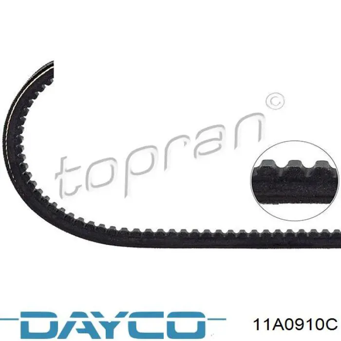 11A0910C Dayco correa trapezoidal