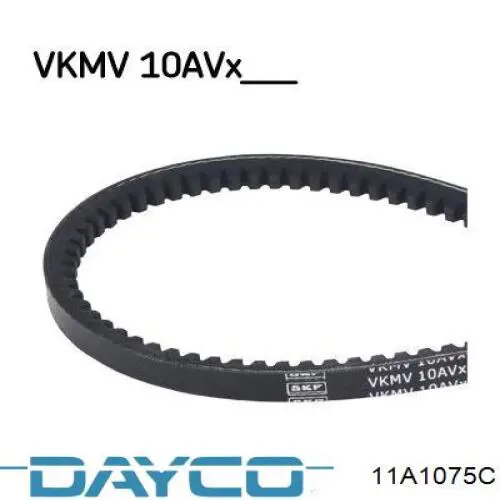 Correa de alternador 11A1075C Dayco