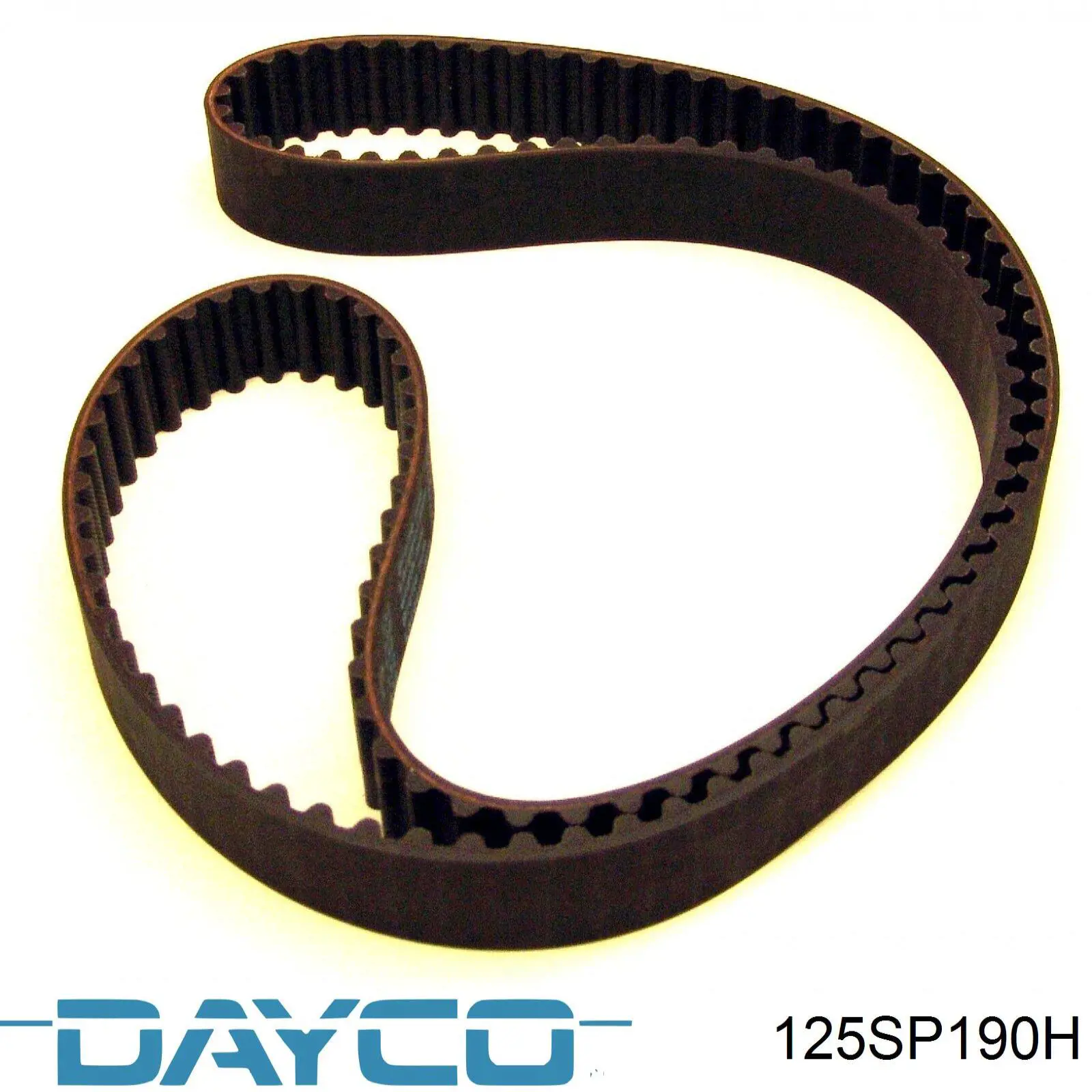 125SP190H Dayco correa distribucion