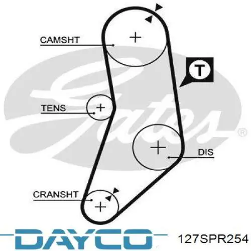 127SPR254 Dayco correa distribucion