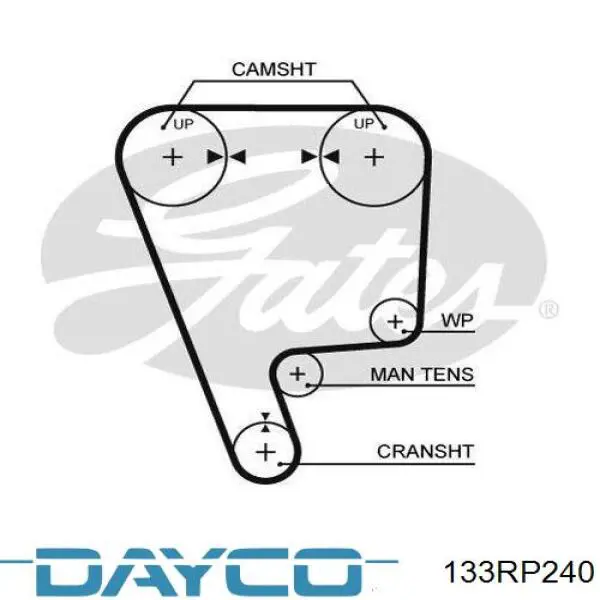 133RP240 Dayco correa distribucion
