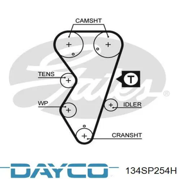 134SP254H Dayco correa distribucion