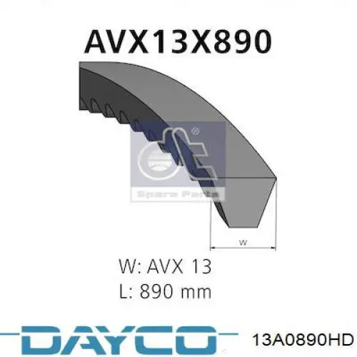 Correa de alternador 13A0890HD Dayco