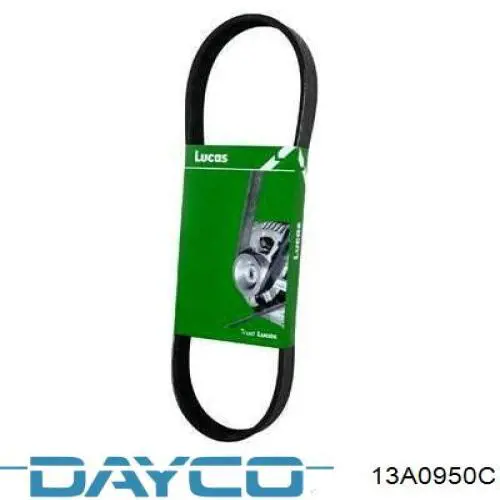 Correa trapezoidal Hyundai Galloper JK