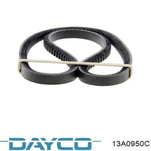 Correa de alternador 13A0950C Dayco