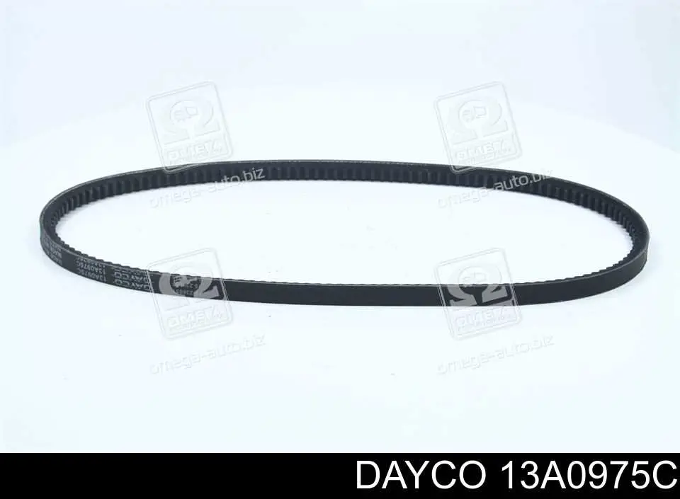 Correa de transmisión trapezoidal Dayco 13A0975C precio, desde 13,84 EUR