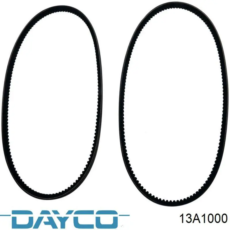 13A1000 Dayco