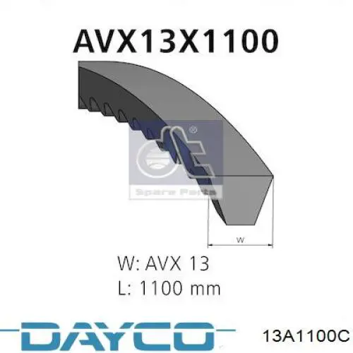 Correa de alternador 13A1100C Dayco