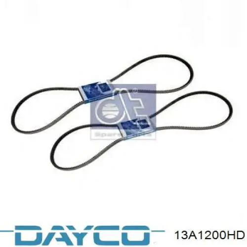 Correa de transmisión trapezoidal Dayco 13A1200HD precio, desde 17,02 EUR
