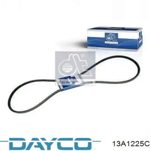 13A1225C Dayco Correa poly v