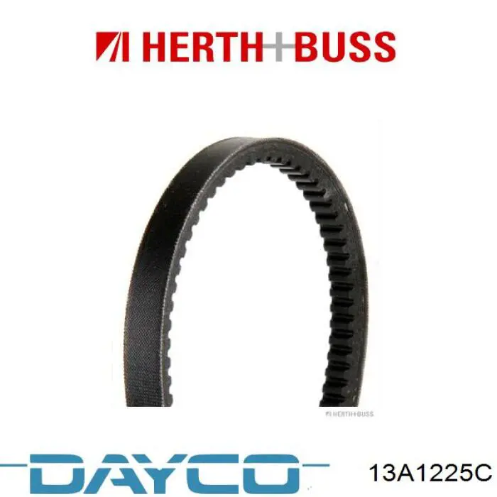 Correa de transmisión trapezoidal Dayco 13A1225C precio, desde 19,17 EUR