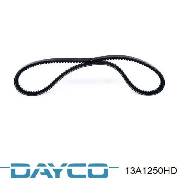 Correa de alternador 13A1250GL Dayco