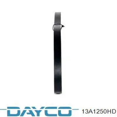 Correa de alternador 13A1250HD Dayco