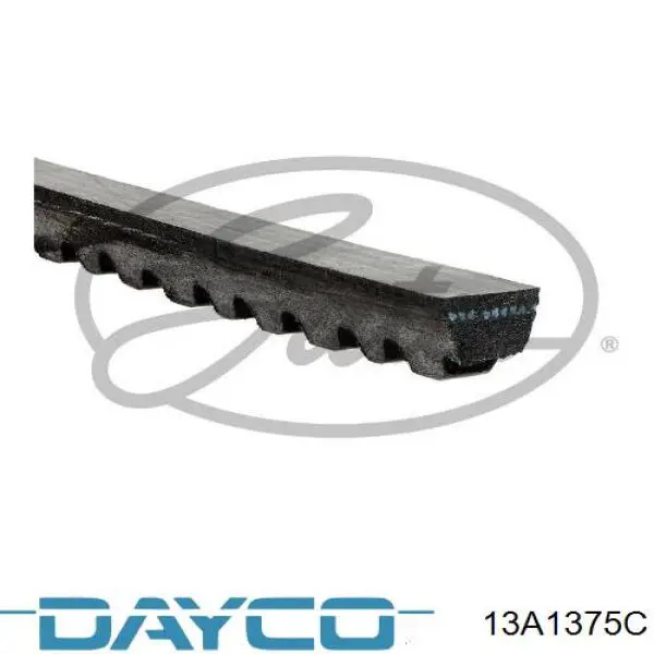 Correa de alternador 13A1375C Dayco