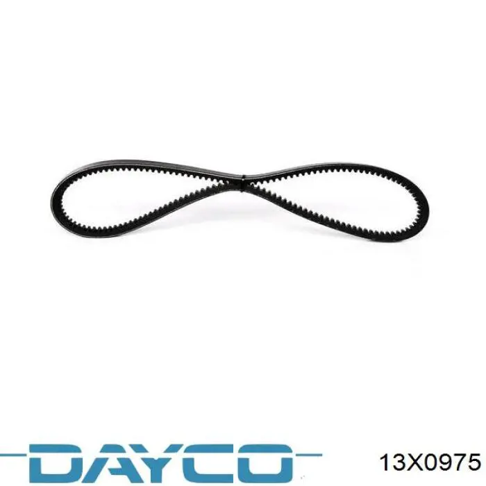 Correa de transmisión trapezoidal Dayco 13X0975 precio, desde 12,75 EUR