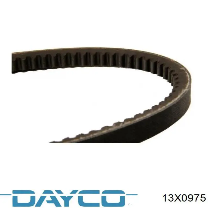 Correa de alternador 13X0975 Dayco