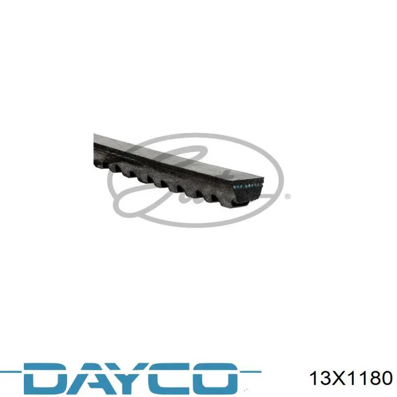 13X1180 Dayco Correa poly v