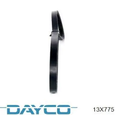 13X775 Dayco correa trapezoidal