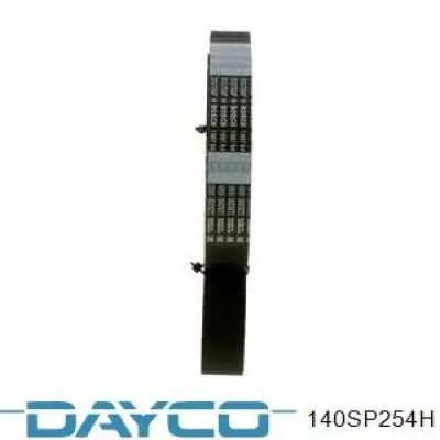 140SP254H Dayco correa distribucion