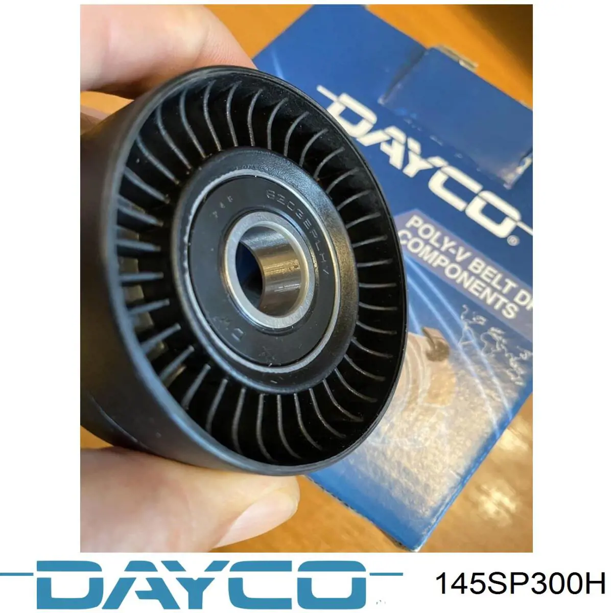 168069C600 Nissan/Infiniti Correa dentada
