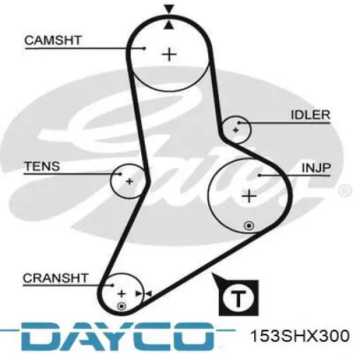153SHX300 Dayco correa distribucion