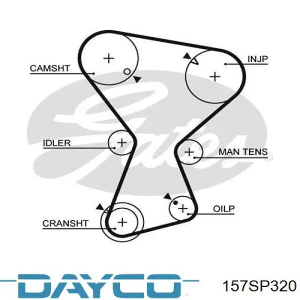 157SP320 Dayco correa distribucion