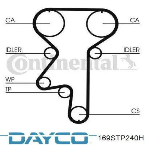 169STP240H Dayco