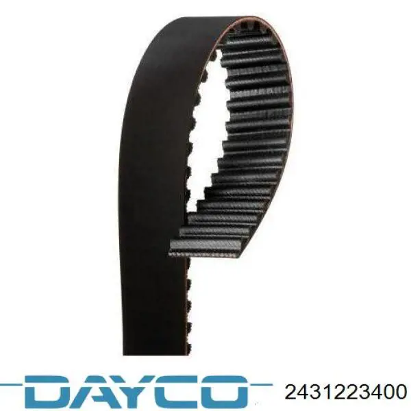 2431223400 Dayco correa distribucion