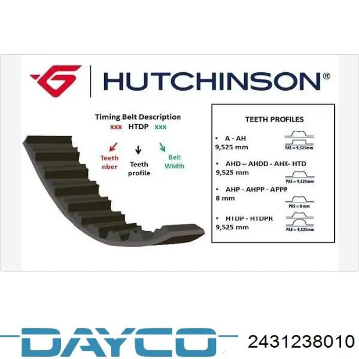 2431238010 Dayco correa distribucion