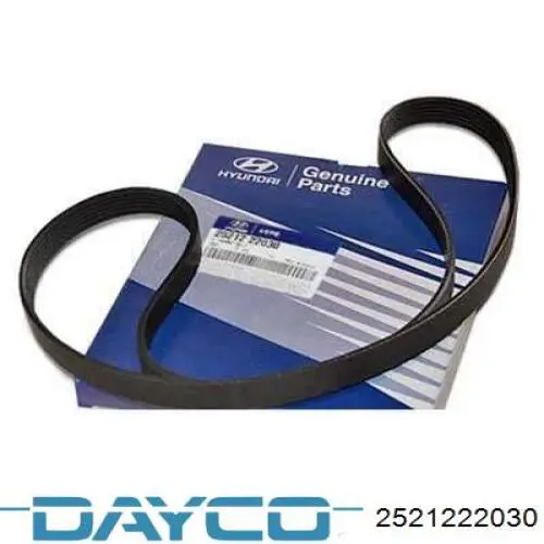 Correa trapezoidal Subaru Forester 1 S10, SF