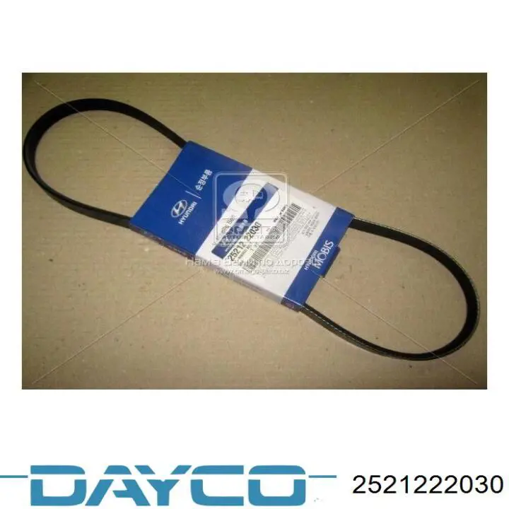 Correa trapezoidal Subaru Forester 1 S10, SF