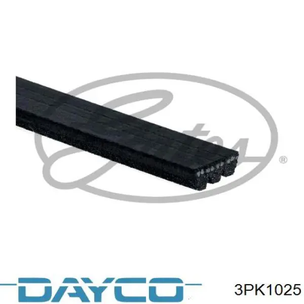 3PK1025 Dayco correa trapezoidal