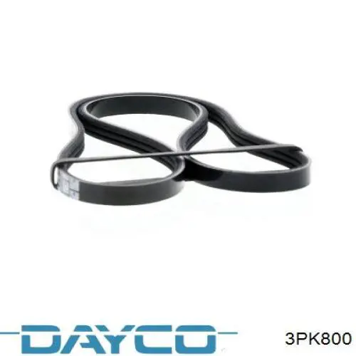 Correa de transmisión trapezoidal Dayco 3PK800 precio, desde 7,33 EUR