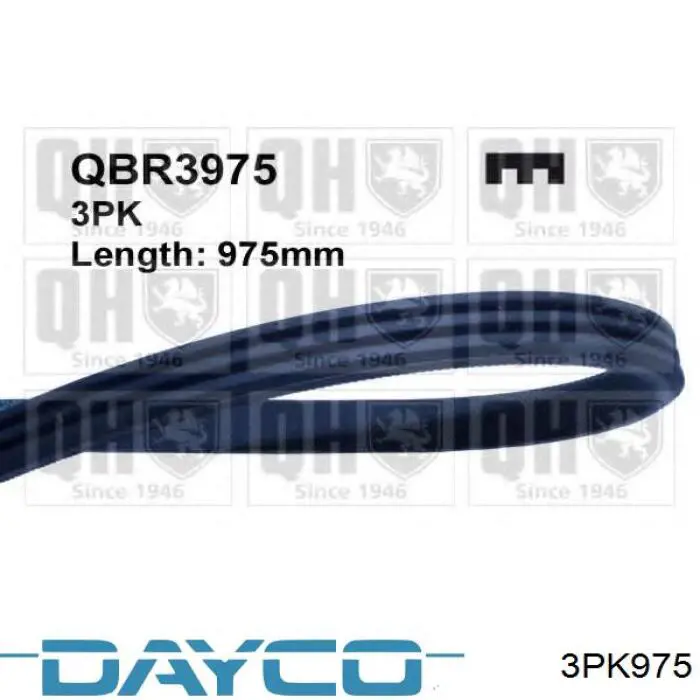 Correa de transmisión trapezoidal Dayco 3PK975 precio, desde 6,35 EUR