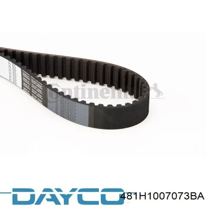 481H1007073BA Dayco Correa dentada