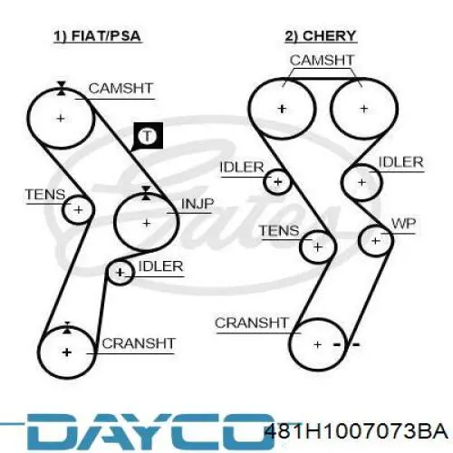 Correa de distribución Dayco 481H1007073BA precio, desde 21,59 EUR
