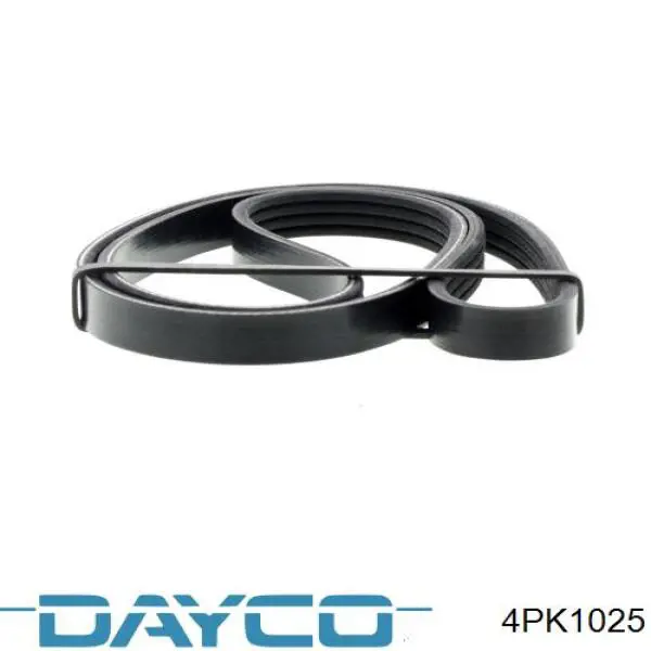 Correa de transmisión trapezoidal Dayco 4PK1025 precio, desde 21,56 EUR