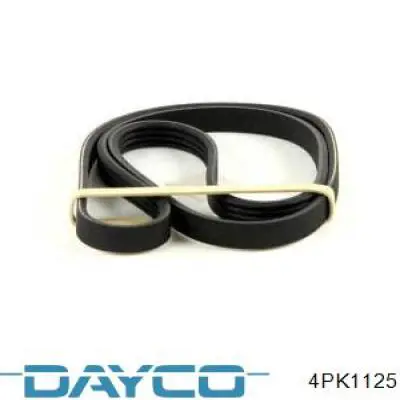 Correa de transmisión trapezoidal Dayco 4PK1125 precio, desde 17,57 EUR