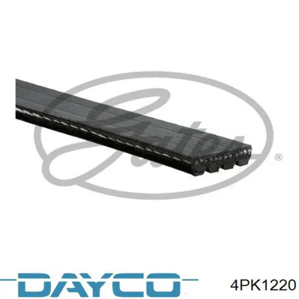 Correa de transmisión trapezoidal Dayco 4PK1220 precio, desde 15,47 EUR