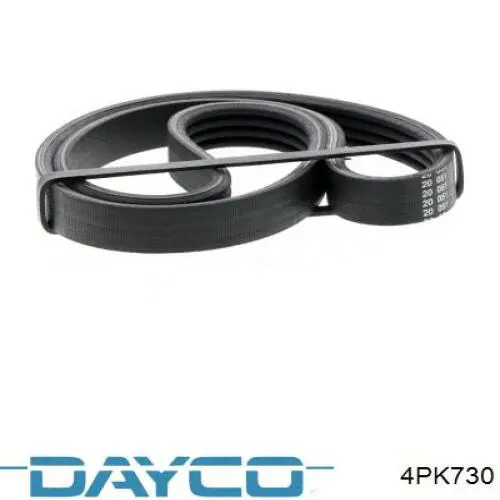 Comprar 4PK730 Dayco Correa trapezoidal