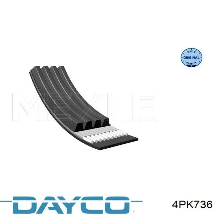 Correa de alternador 4PK736 Dayco