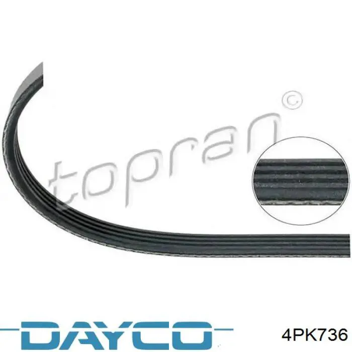 Comprar 4PK736 Dayco Correa trapezoidal