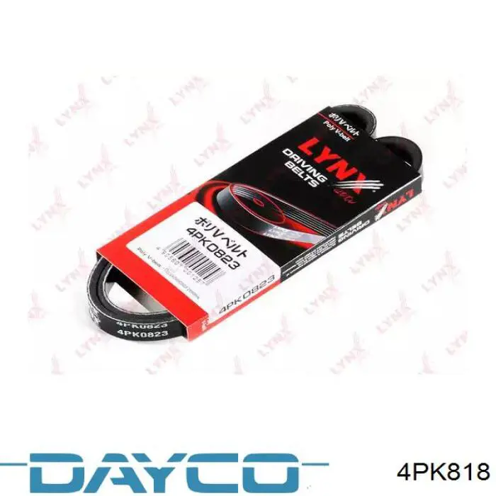 Comprar 4PK818 Dayco Correa trapezoidal