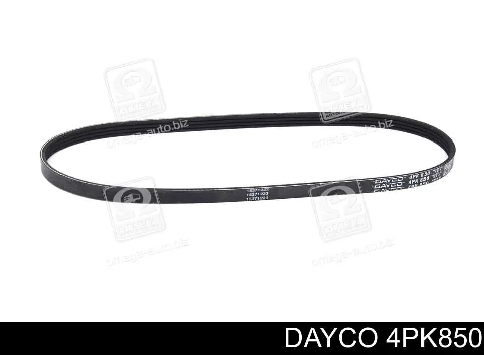 Comprar 4PK850 Dayco Correa trapezoidal