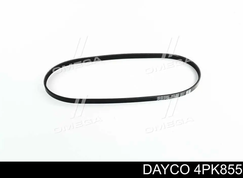 Correa de transmisión trapezoidal Dayco 4PK855 precio, desde 9,93 EUR