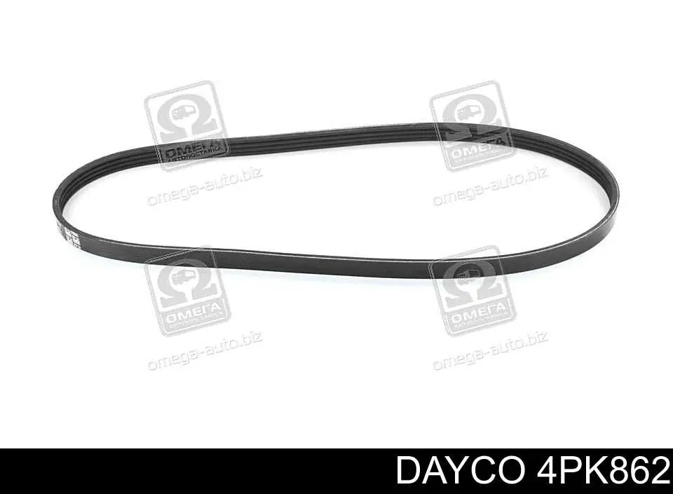 Correa de transmisión trapezoidal Dayco 4PK862 precio, desde 10,66 EUR