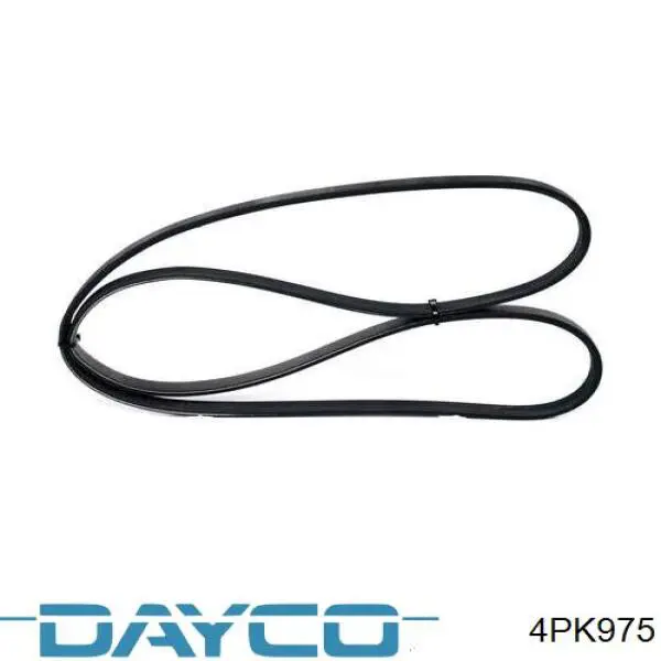Correa de transmisión trapezoidal Dayco 4PK975 precio, desde 17,97 EUR