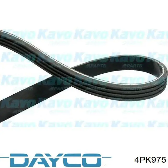 4PK975 Dayco Correa poly v