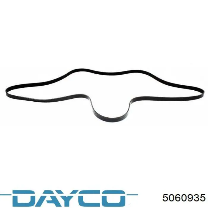 5060935 Dayco correa trapezoidal